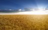 Днес е Летния Атанасовден - летен празник отбелязващ началото на жътвата